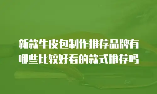 新款牛皮包制作推荐品牌有哪些比较好看的款式推荐吗