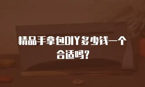 精品手拿包DIY多少钱一个合适吗？