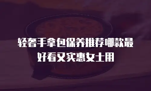 轻奢手拿包保养推荐哪款最好看又实惠女士用