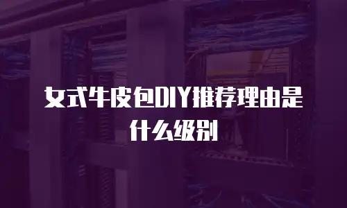 女式牛皮包DIY推荐理由是什么级别