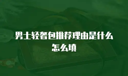 男士轻奢包推荐理由是什么怎么填