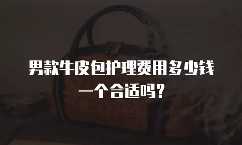 男款牛皮包护理费用多少钱一个合适吗？