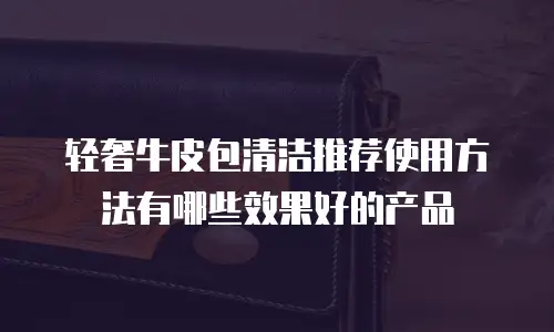 轻奢牛皮包清洁推荐使用方法有哪些效果好的产品