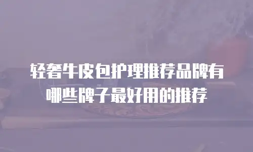 轻奢牛皮包护理推荐品牌有哪些牌子最好用的推荐