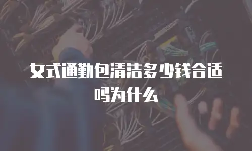 女式通勤包清洁多少钱合适吗为什么