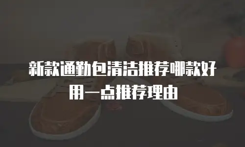 新款通勤包清洁推荐哪款好用一点推荐理由