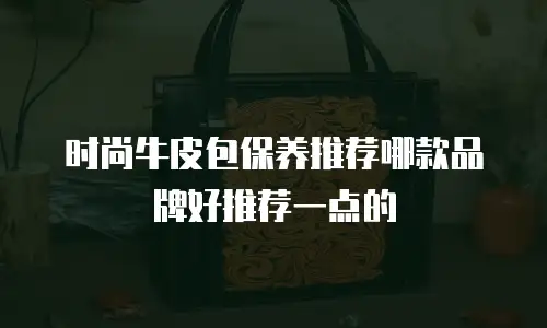 时尚牛皮包保养推荐哪款品牌好推荐一点的