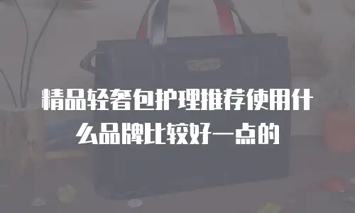 精品轻奢包护理推荐使用什么品牌比较好一点的