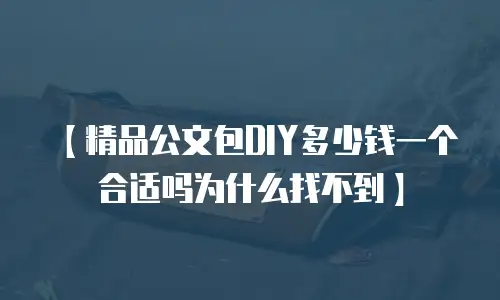 【精品公文包DIY多少钱一个合适吗为什么找不到】