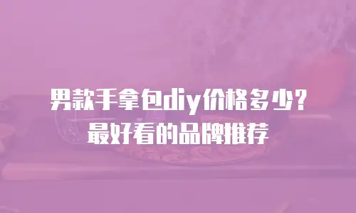 男款手拿包diy价格多少？最好看的品牌推荐
