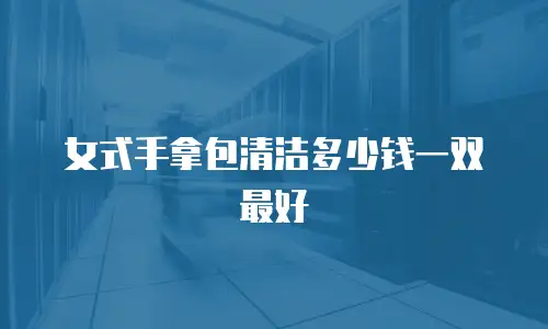 女式手拿包清洁多少钱一双最好