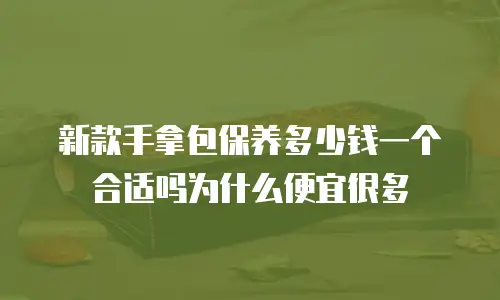 新款手拿包保养多少钱一个合适吗为什么便宜很多