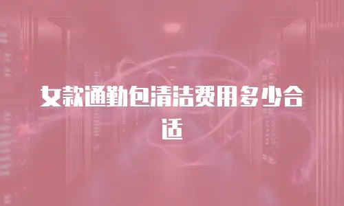 女款通勤包清洁费用多少合适