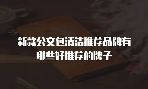 新款公文包清洁推荐品牌有哪些好推荐的牌子