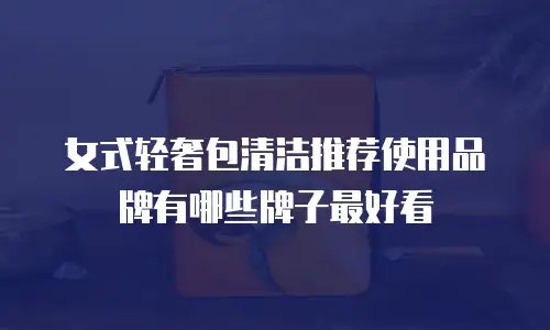女式轻奢包清洁推荐使用品牌有哪些牌子最好看