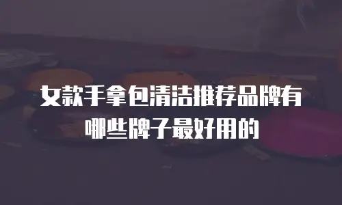 女款手拿包清洁推荐品牌有哪些牌子最好用的