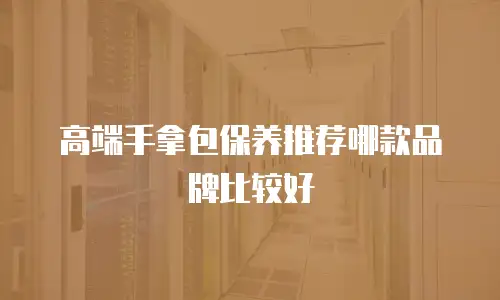 高端手拿包保养推荐哪款品牌比较好