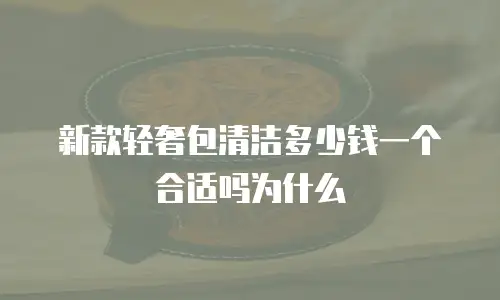 新款轻奢包清洁多少钱一个合适吗为什么