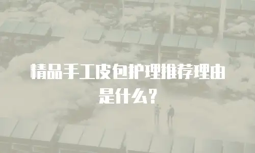 精品手工皮包护理推荐理由是什么？