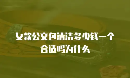 女款公文包清洁多少钱一个合适吗为什么