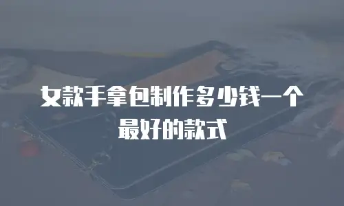 女款手拿包制作多少钱一个最好的款式