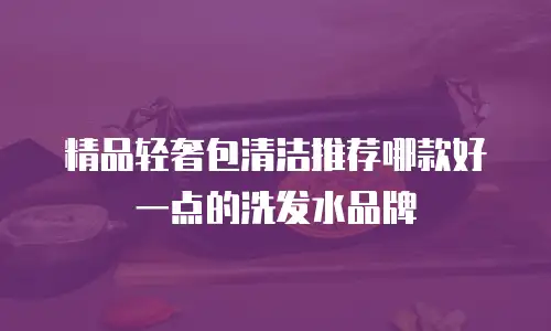 精品轻奢包清洁推荐哪款好一点的洗发水品牌