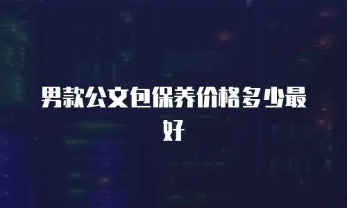男款公文包保养价格多少最好