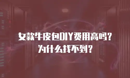 女款牛皮包DIY费用高吗？为什么找不到？