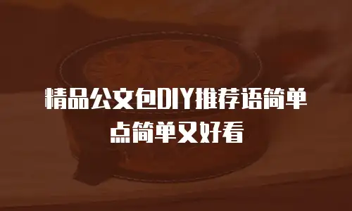 精品公文包DIY推荐语简单点简单又好看