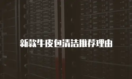新款牛皮包清洁推荐理由