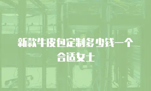 新款牛皮包定制多少钱一个合适女士