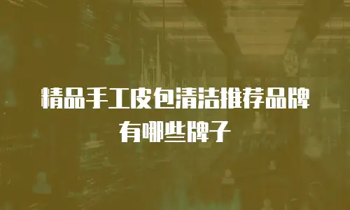 精品手工皮包清洁推荐品牌有哪些牌子
