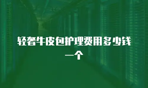 轻奢牛皮包护理费用多少钱一个