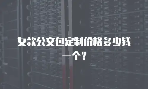 女款公文包定制价格多少钱一个？