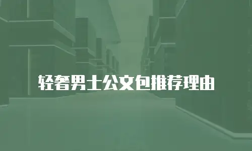 轻奢男士公文包推荐理由