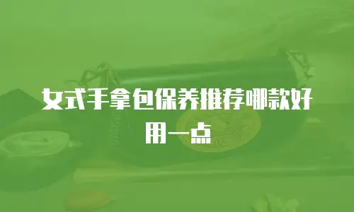 女式手拿包保养推荐哪款好用一点