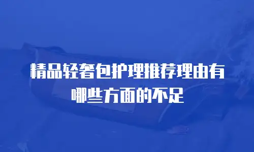 精品轻奢包护理推荐理由有哪些方面的不足