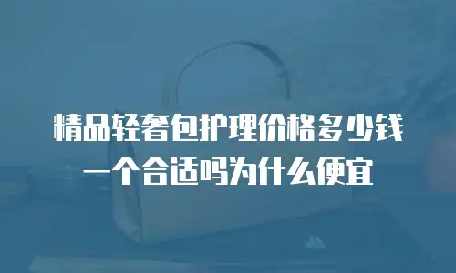 精品轻奢包护理价格多少钱一个合适吗为什么便宜