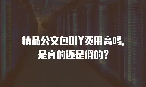 精品公文包DIY费用高吗，是真的还是假的？