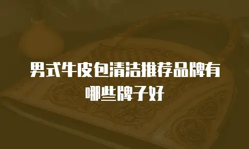 男式牛皮包清洁推荐品牌有哪些牌子好
