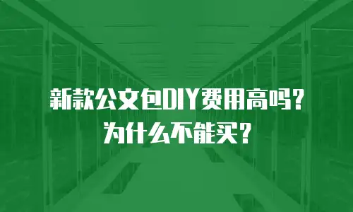 新款公文包DIY费用高吗？为什么不能买？