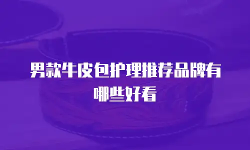 男款牛皮包护理推荐品牌有哪些好看