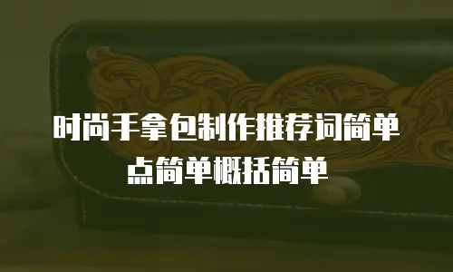 时尚手拿包制作推荐词简单点简单概括简单