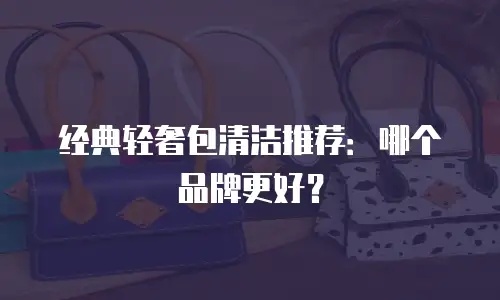 经典轻奢包清洁推荐：哪个品牌更好？