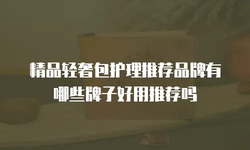 精品轻奢包护理推荐品牌有哪些牌子好用推荐吗