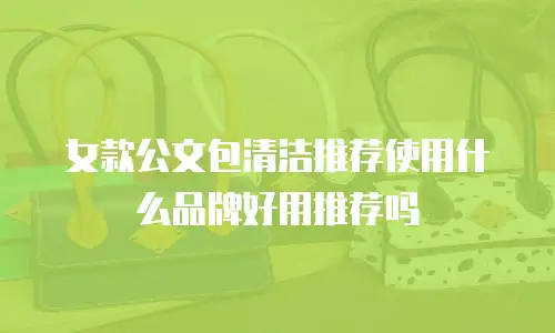 女款公文包清洁推荐使用什么品牌好用推荐吗