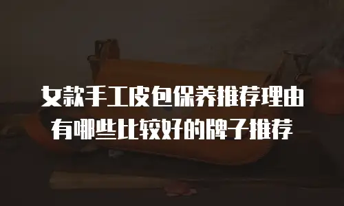 女款手工皮包保养推荐理由有哪些比较好的牌子推荐