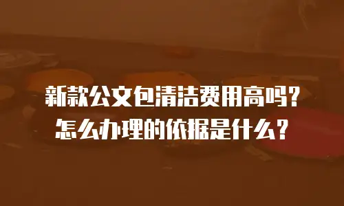 新款公文包清洁费用高吗？怎么办理的依据是什么？