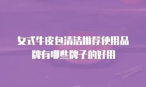 女式牛皮包清洁推荐使用品牌有哪些牌子的好用