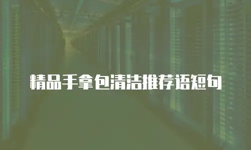精品手拿包清洁推荐语短句